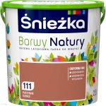 Miarkownik Ciągu, Zakres Regulacji 30÷90°C, G3/4″ Fr1 Afriso