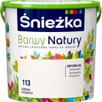 Satra Szlifierka Liniowa Pneumatyczna (S845A)