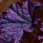 Try & Hire — jak rekrutować bez ryzyka